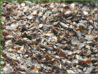 รับ ซื้อ เศษ แก้ว